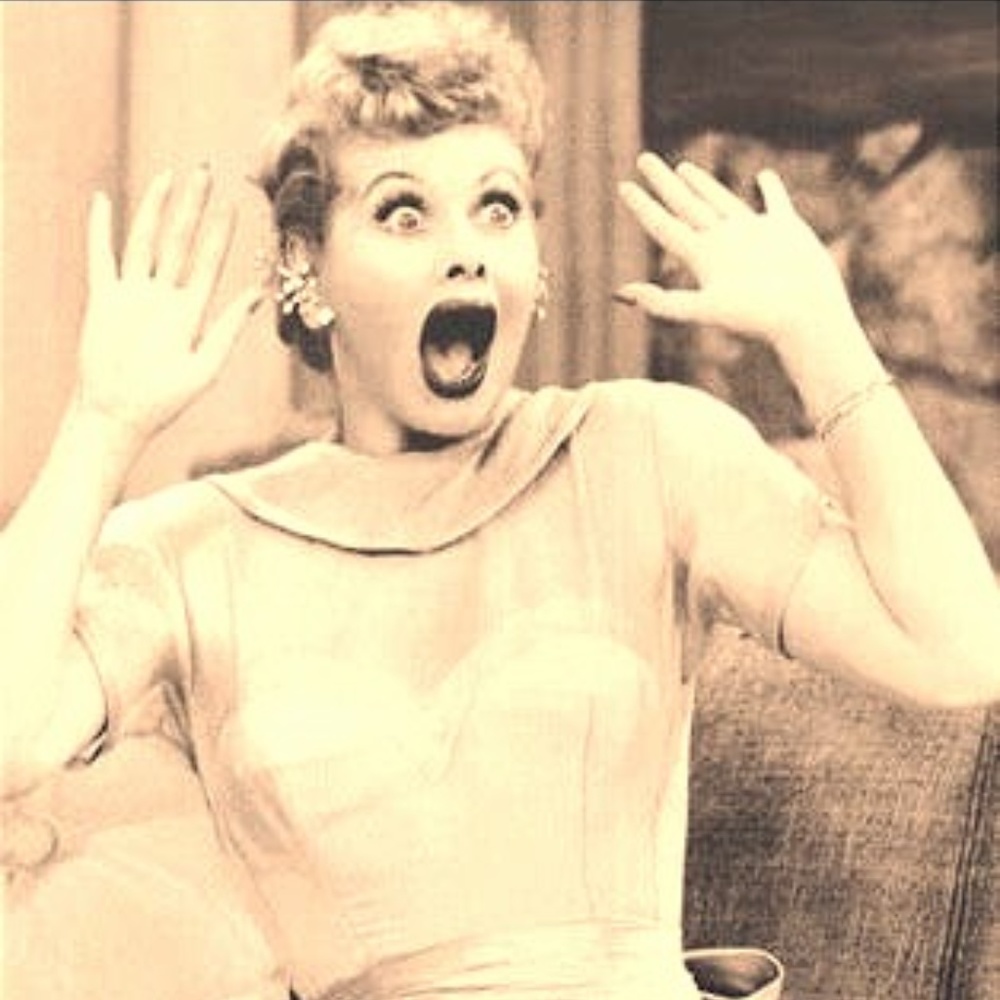 Meet your Posher, Molly